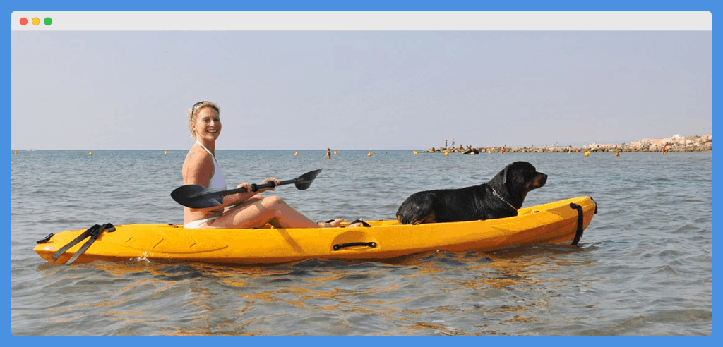 How To Kayak With Dog - Kayak Help